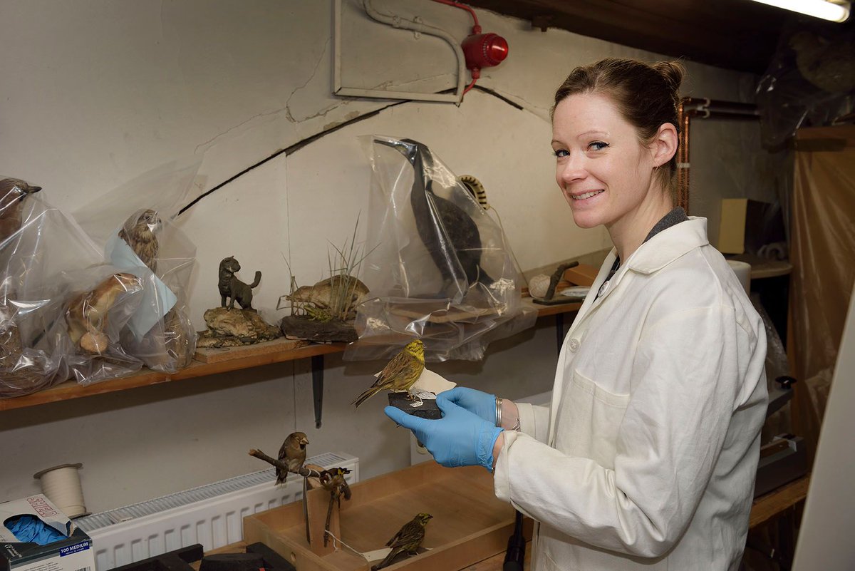 Sophie is one of our Curators &amp; as well as looking after the collections she is passionate about sharing their stories #heritageMW #womenMW