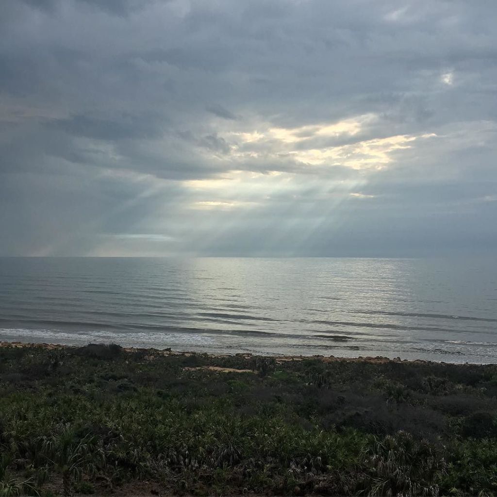 thedivinebee's tweet photo. #soulsunday #lifeisabeach #lovewhereyoulive #nofilter https://t.co/zjMDVZLJmC https://t.co/qGOIJdIbY1