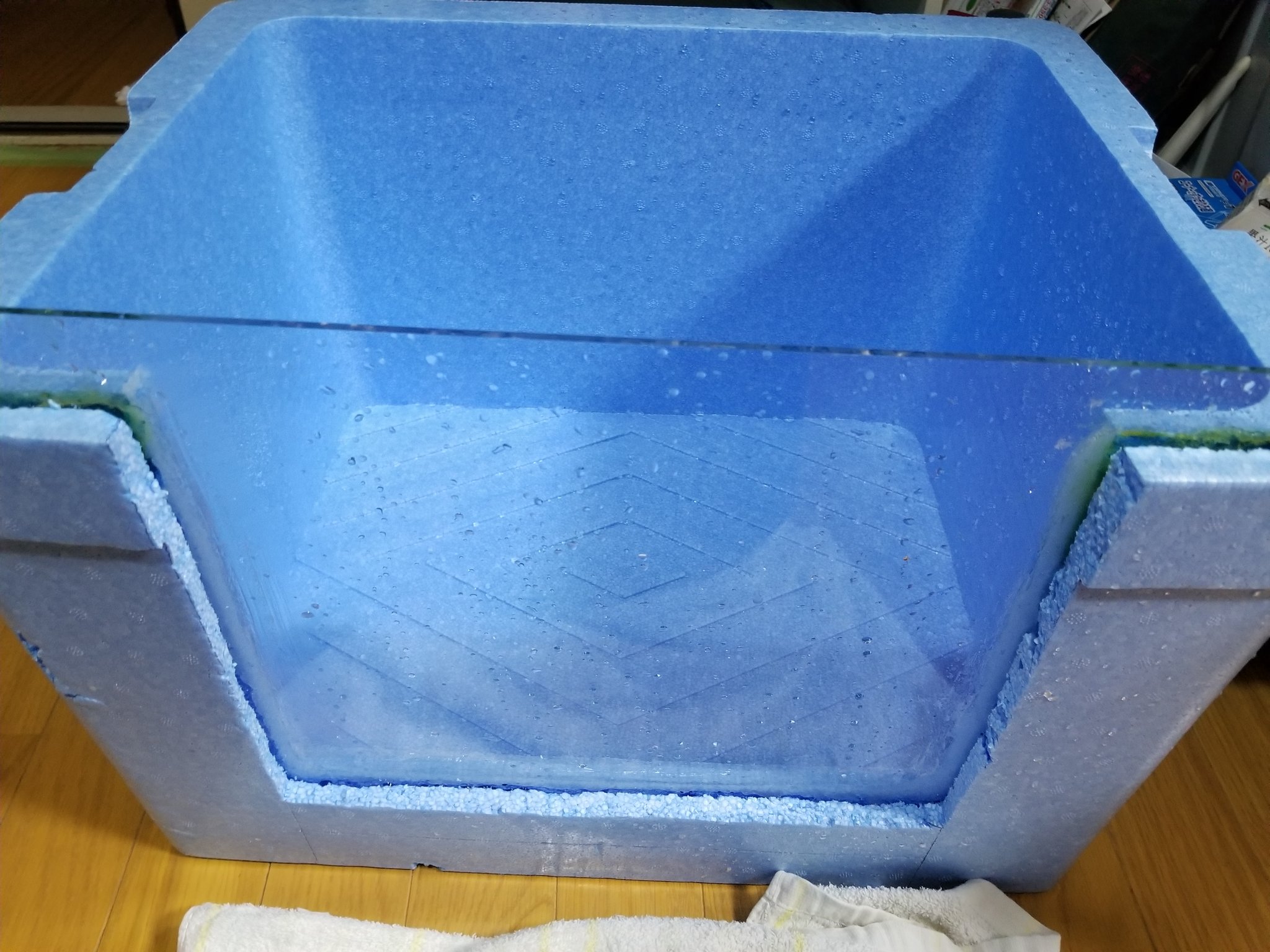 It ウーパールーパーを飼い始めたんですが 昼間の水温がヤバイので発砲スチロールに水槽いれて回りに水と保冷剤で冷やそうという作戦を実行 外から様子が見えるようにアクリル版を刺して内側にシールをするも 水漏れ発生 再度シールを塗って固まっ