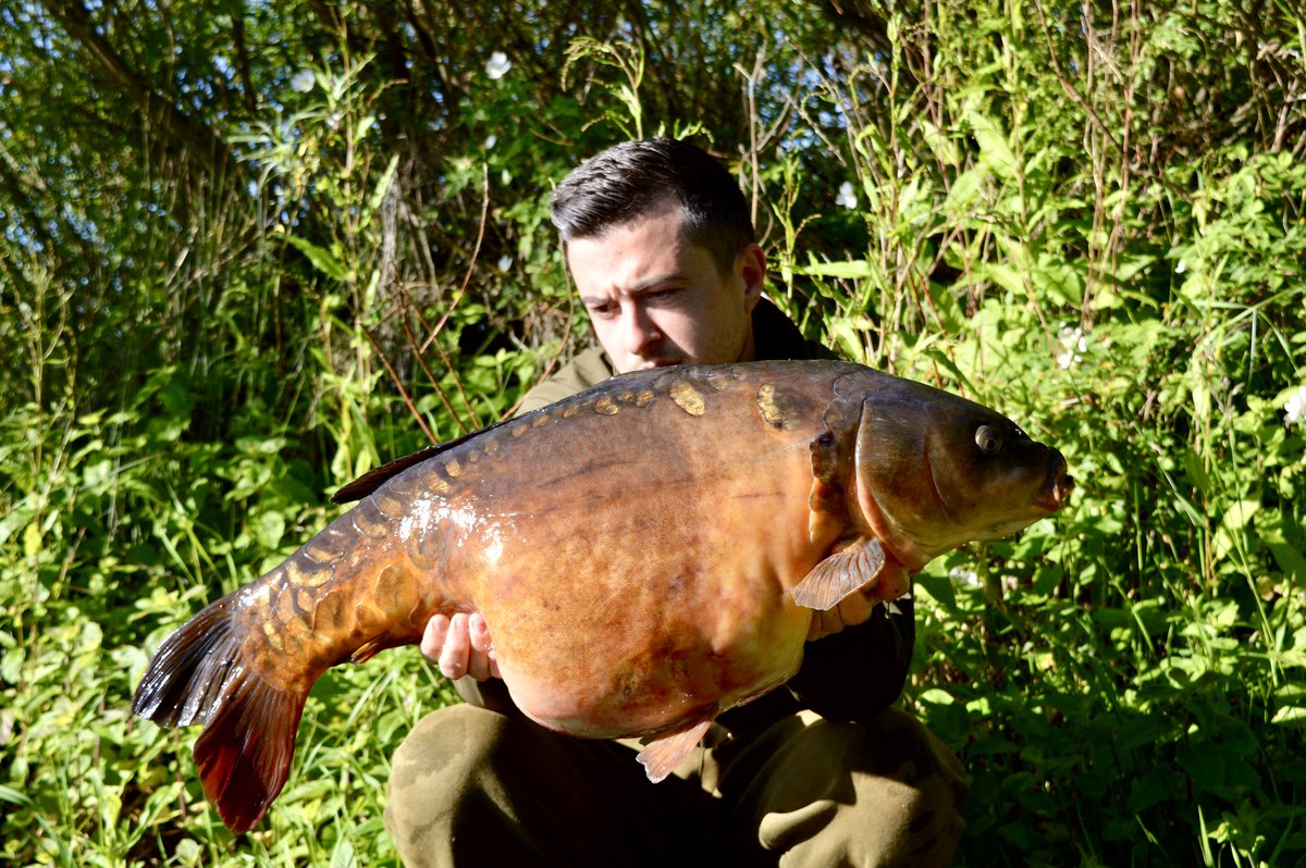 Michael Trench (@mickytrench) on Twitter photo 