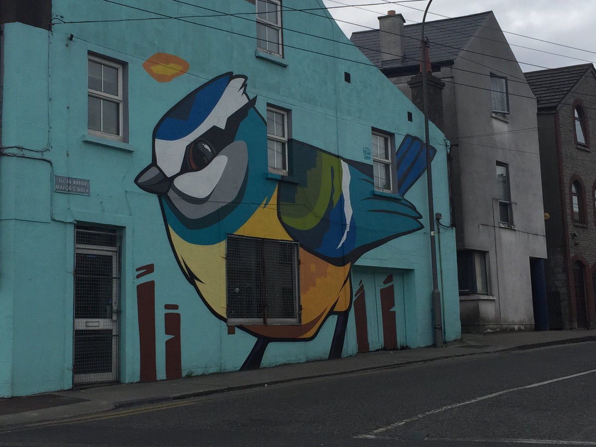 knightsabroad's tweet image. My fave street art from a local project called “Waterford Walls.” #studyabroad #ireland #international #learning #adventure #knightsabroad