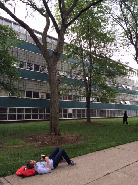 JDMabie's tweet photo. Photo of me (via Scott Slovic) at #ASLE2017 doing tree canopy observation during science-writing workshop. Or aping old @ASLE_US logo. https://t.co/LgQHX2yQCk