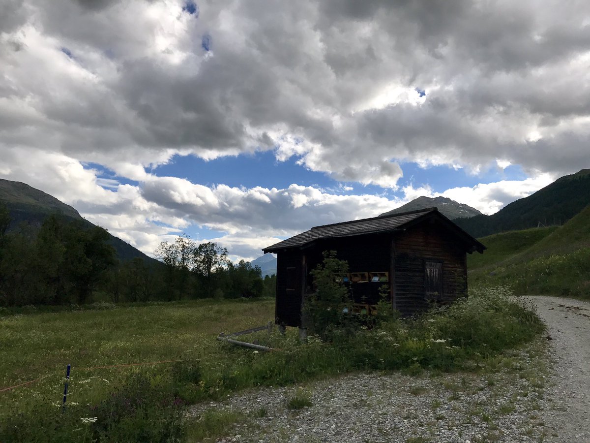 Dank <a href="/therunnershive/">therunnershive</a> denke ich bei jedem Bienenhäuschen 🐝🍯 an <a href="/iwanschwarz/">Iwan Schwarz</a> und <a href="/paediwieser/">Patrick Wieser</a>... Doing 🤦‍♂️😉