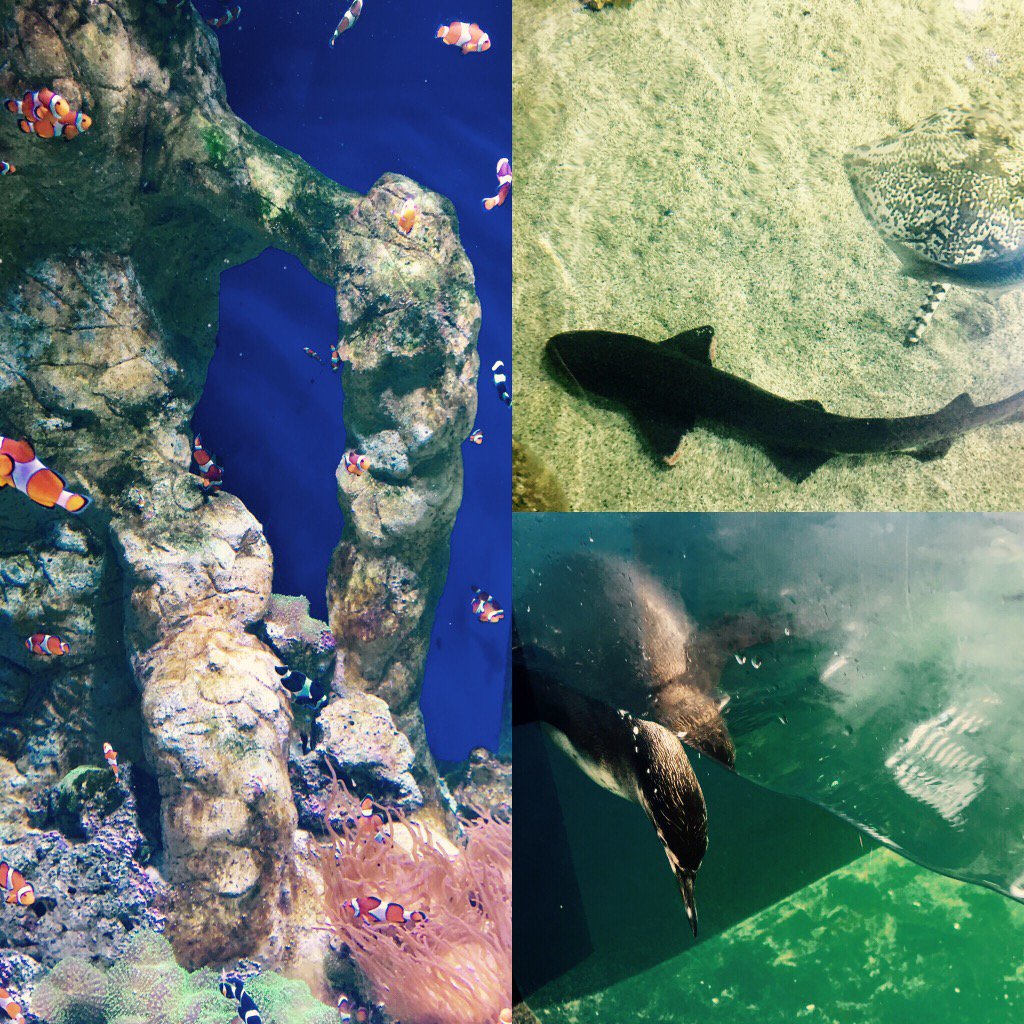 A little taster of what's to come... <a href="/IC_Hornbeam/">Hornbeam Class</a> <a href="/IC_Plane/">Plane Class</a>