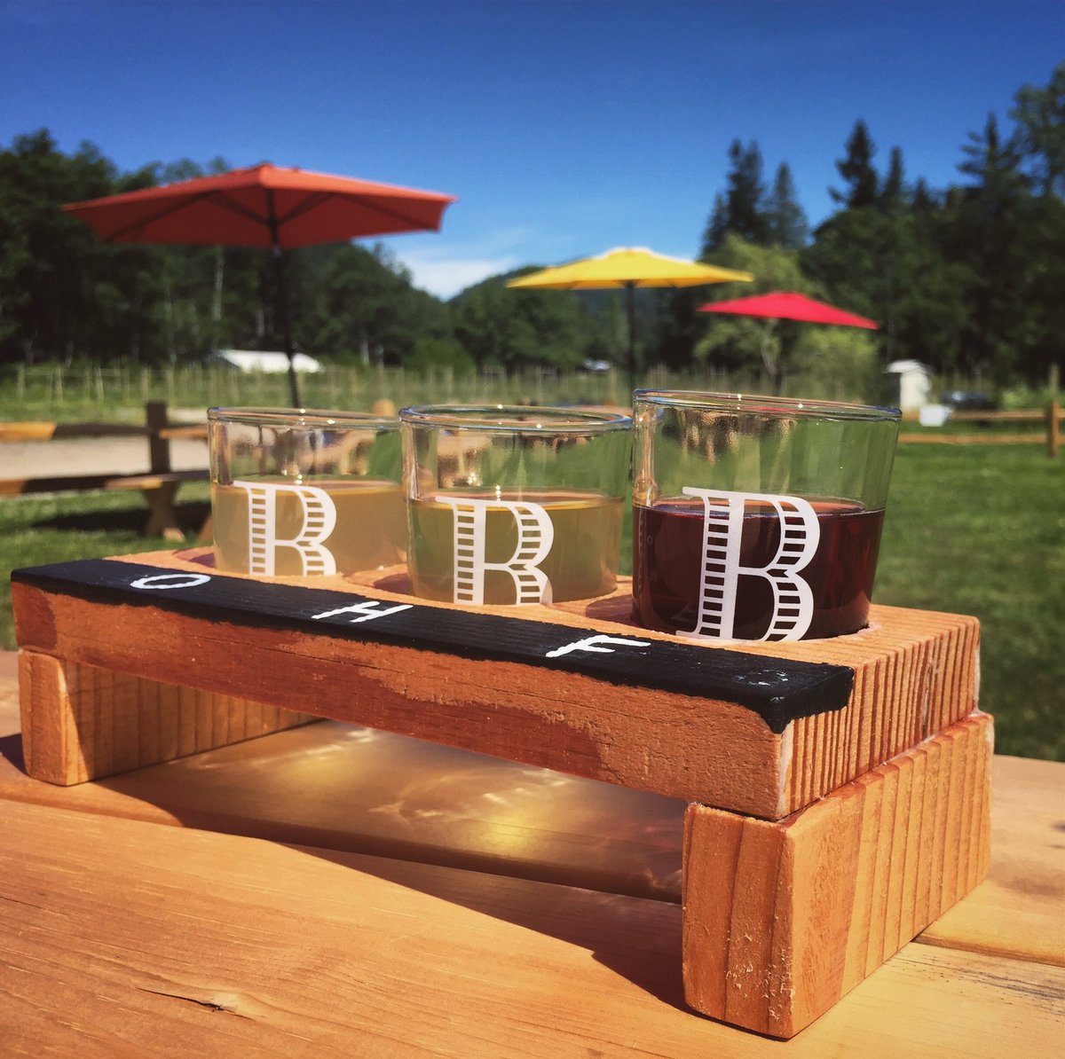 Not a bad start to the day! Cider tasting at <a href="/BrickersCider/">Brickers Cider</a> in Sechelt #sunshinecoastbc <a href="/sunshinecoastca/">Sunshine Coast Tourism 🇨🇦</a> <a href="/HelloBC/">Super, Natural British Columbia</a> #explorebc 🍎