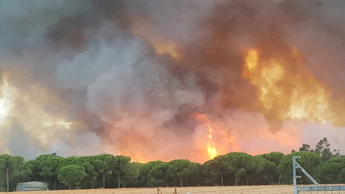 PastoraSoler's tweet photo. S.O.S Me duele el alma al ver estas imágenes,Doñana,Moguer,Mazagón...mucho ánimo y fuerza a los bomberos y todos los que están trabajando. https://t.co/YVd7syhja5