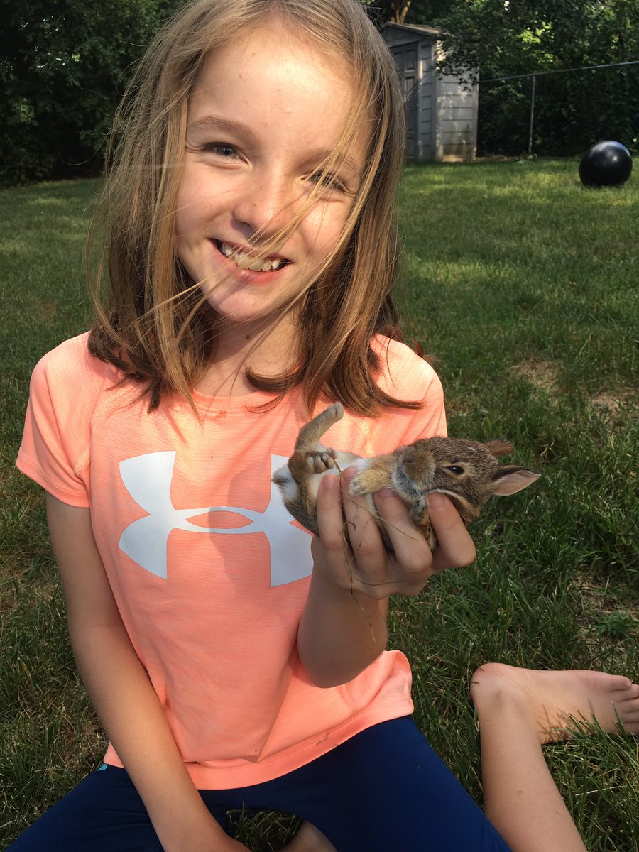 rileyri36's tweet photo. Found baby bunnies in the backyard! https://t.co/eVuUXqL5p9