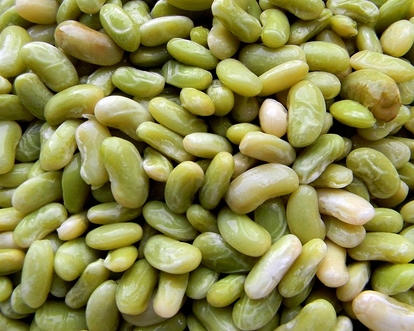 Easy_Bean's tweet photo. #KnowyourBeans - #Flageolet Beans are small, creamy & pale green with tender skin & a fine delicate flavour. Popular in casseroles in France https://t.co/1uQUtdCs2F
