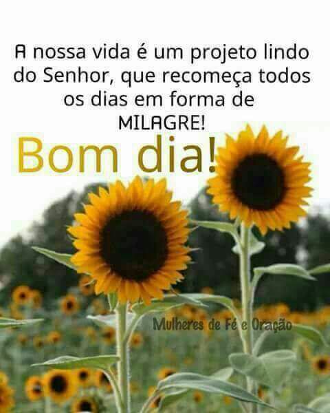 Pri#Tim Beta#SDV# (@pricris_caua) on Twitter photo 