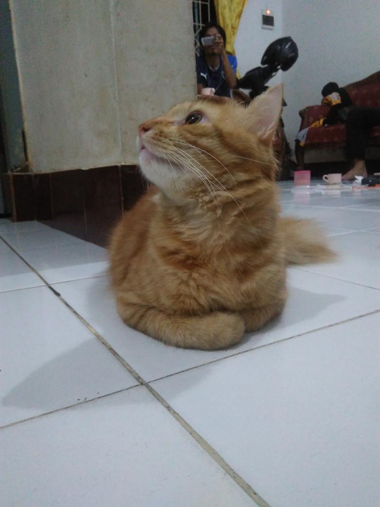 cippy_85's tweet photo. Satu frame,banyak cerita #liburlebaran #mpus #cemong #bocahcemong https://t.co/RpjGD1gJX1