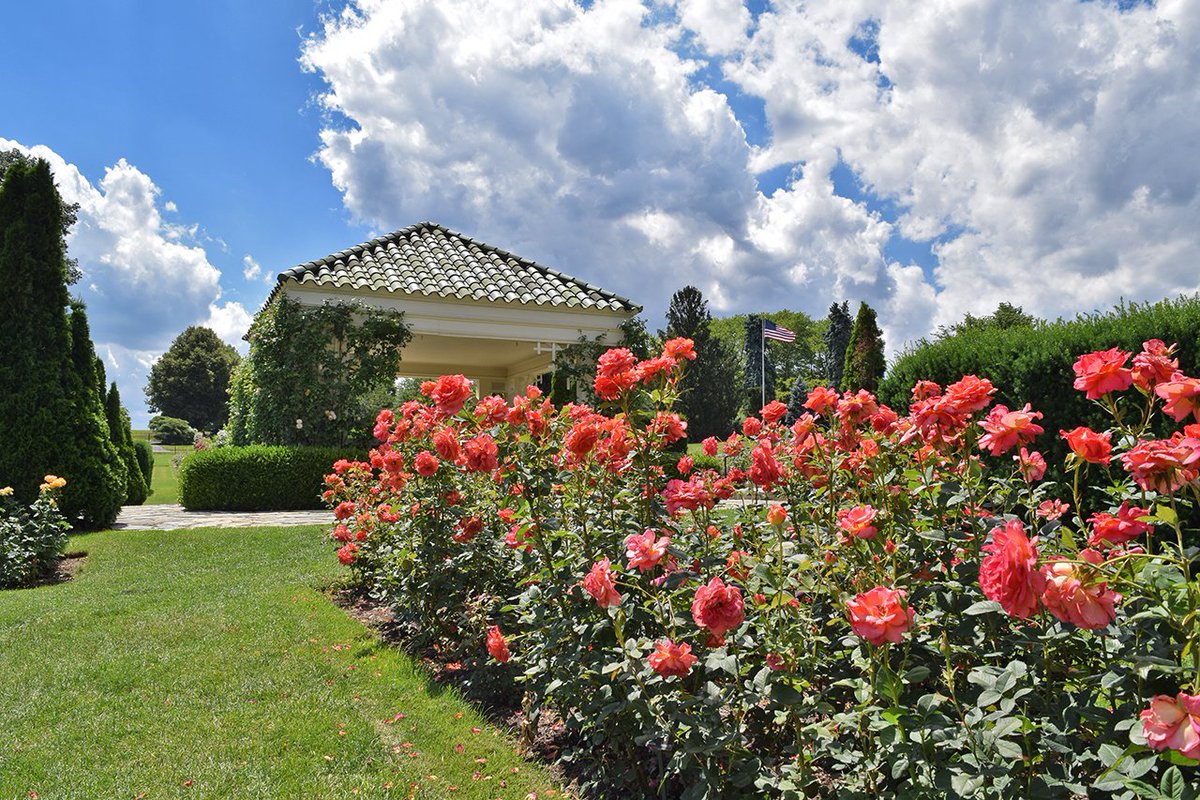 Grading Gardens Blog tweet media