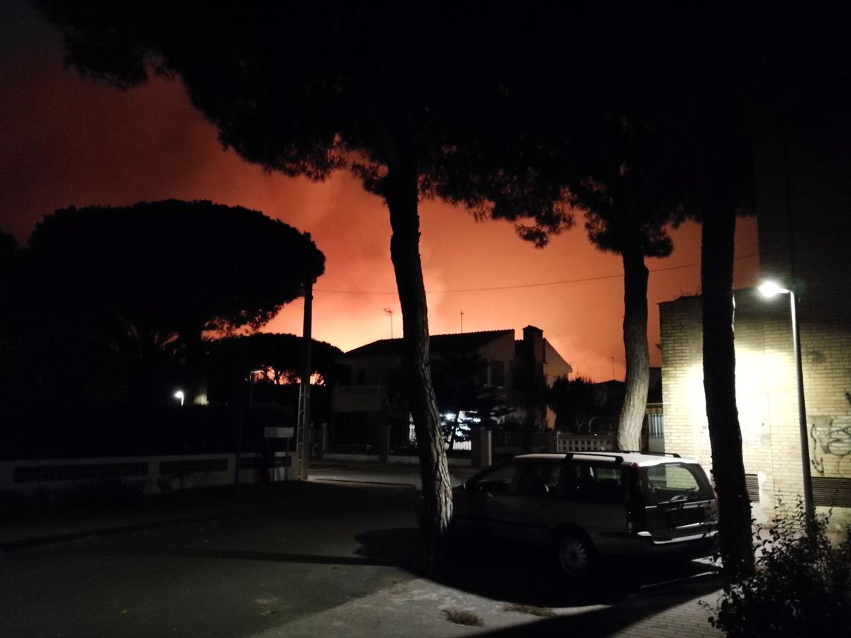 AnaBNoriega's tweet photo. Trístísimas imágenes del incendio en #Mazagon especialmente para los que hemos trabajado y amado #doñana y su entorno @PEFCSpain https://t.co/G4nyHRhD6j