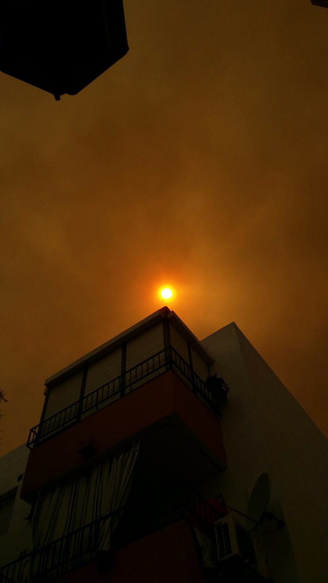 AnaBNoriega's tweet photo. Trístísimas imágenes del incendio en #Mazagon especialmente para los que hemos trabajado y amado #doñana y su entorno @PEFCSpain https://t.co/G4nyHRhD6j