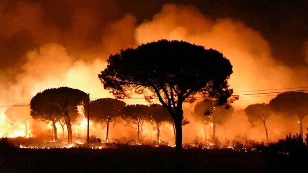 AnaBNoriega's tweet photo. Trístísimas imágenes del incendio en #Mazagon especialmente para los que hemos trabajado y amado #doñana y su entorno @PEFCSpain https://t.co/G4nyHRhD6j