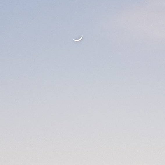 AltafAl70135813's tweet photo. 🌙चाँद🌙 मुबारक हो दोस्तों!!!!!!
👆👆👆👆👆👆👆👆👆 https://t.co/FqReUmIm4s