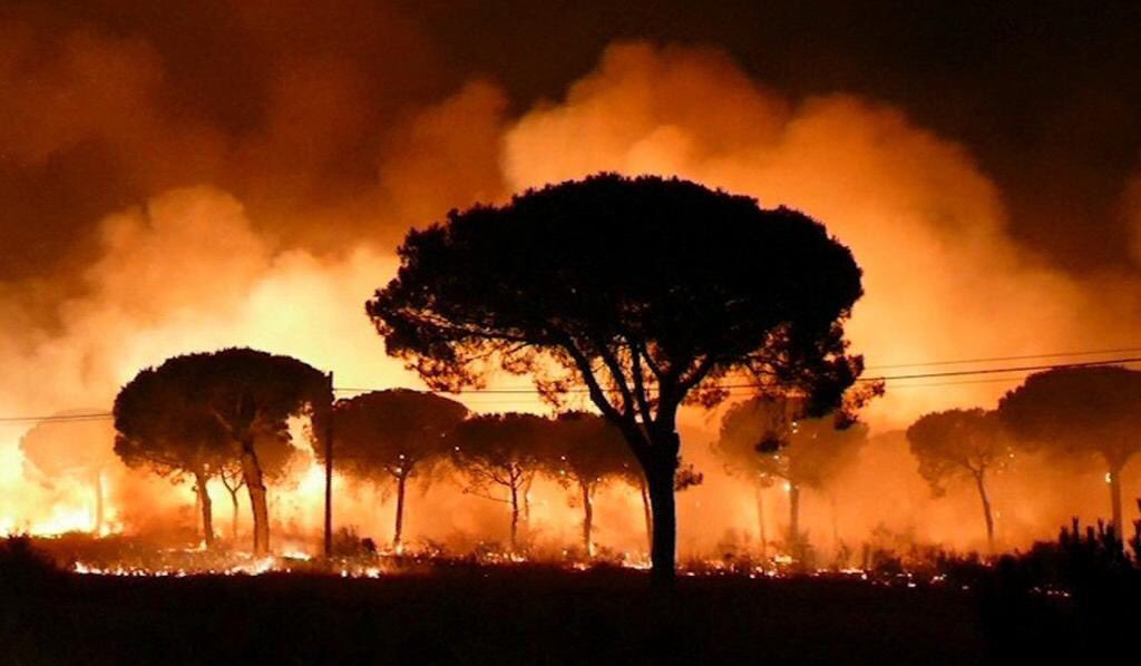 manuelcarrasco_'s tweet photo. Con el alma rota viendo las llamas en Doñana,qué pena más grande! Mucha fuerza para los bomberos y los que están trabajando contra el fuego. https://t.co/weSNXEUm10