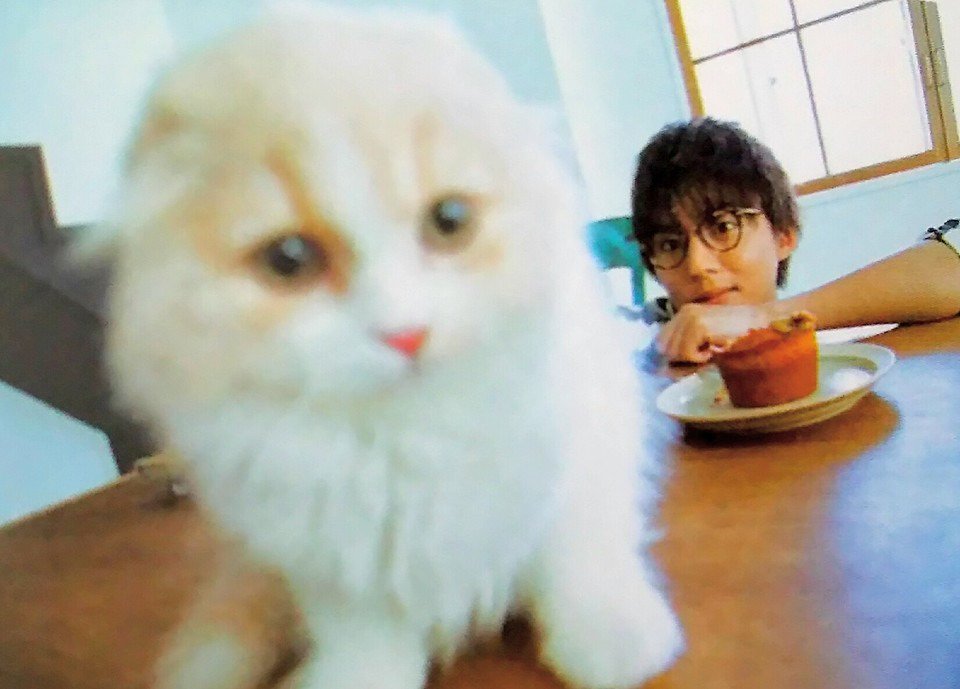 kismywrold's tweet photo. ハッピーバースデー25/06/2560 (30)
楽しい時間を過ごします Happy birthday 🎉🎉🎊🎐 #藤ヶ谷太輔   #kismyft2 https://t.co/e3aCH48tkn