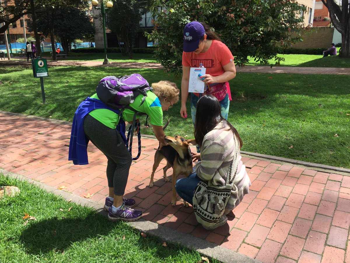 bogdoymipalabra's tweet photo. Cuidar a tu mascota también transforma a la ciudad! #BogotaTeDoyMiPalabra https://t.co/fjiyQQQ9PD