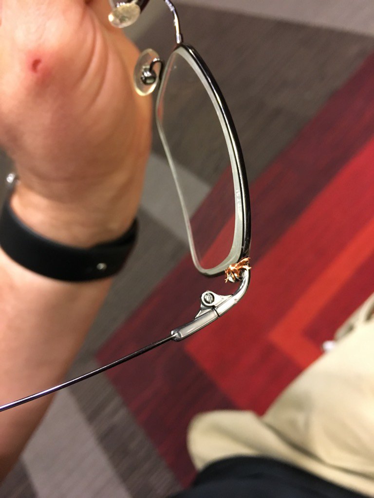 Your Glasses Could Be Making You Break Out forecast Your Glasses Could Be Making You Break Out forecast
