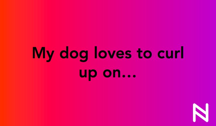 HelloNuzzle's tweet image. Tell #Nuzzle your story.