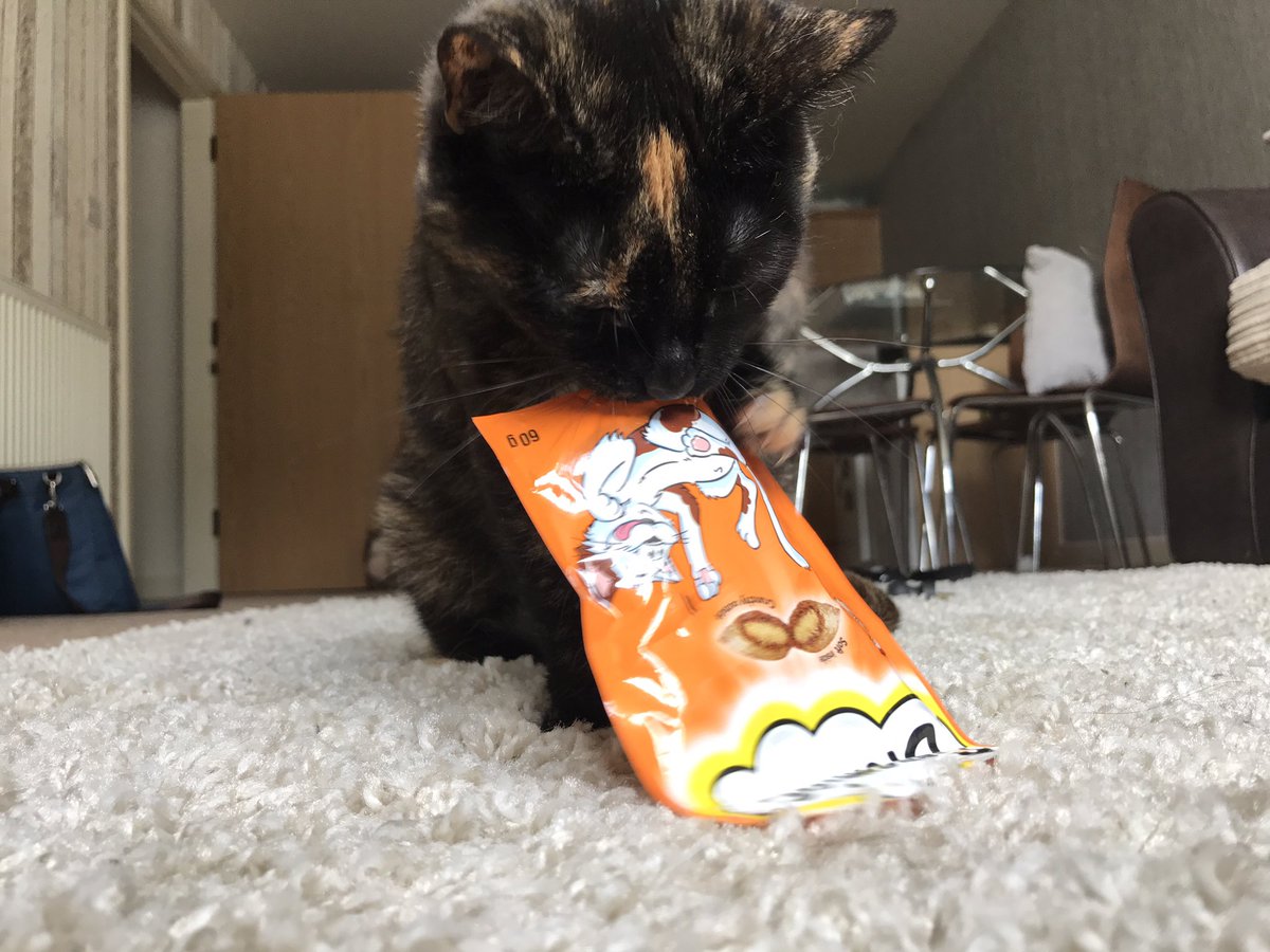 DisplayTeam_UK's tweet photo. My cats could do with your indestructible packets 😂😂😂@DreamiesUK #purrfectphotos #sheera #rouge https://t.co/oEd6uZRUkP