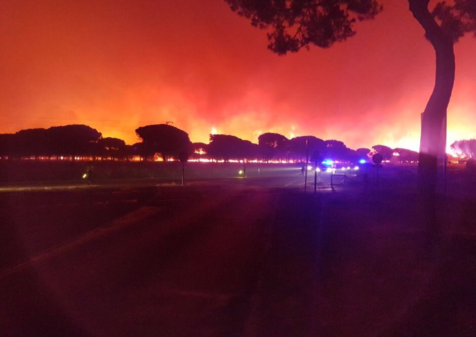 arrebatoficial's tweet photo. Mucho ánimo, mucha fuerza, todo mi apoyo a Mazagon, Doñana y toda Huelva. Ojalá todo pase pronto y pueda volver a verte sonreír.Ánimo Huelva https://t.co/vCNvZV9uLV