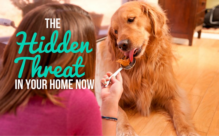 HelloNuzzle's tweet image. This Chemical Is Making Dogs Sick And It's Probably In Your Home RIGHT Now bit.ly/2dPkw3q