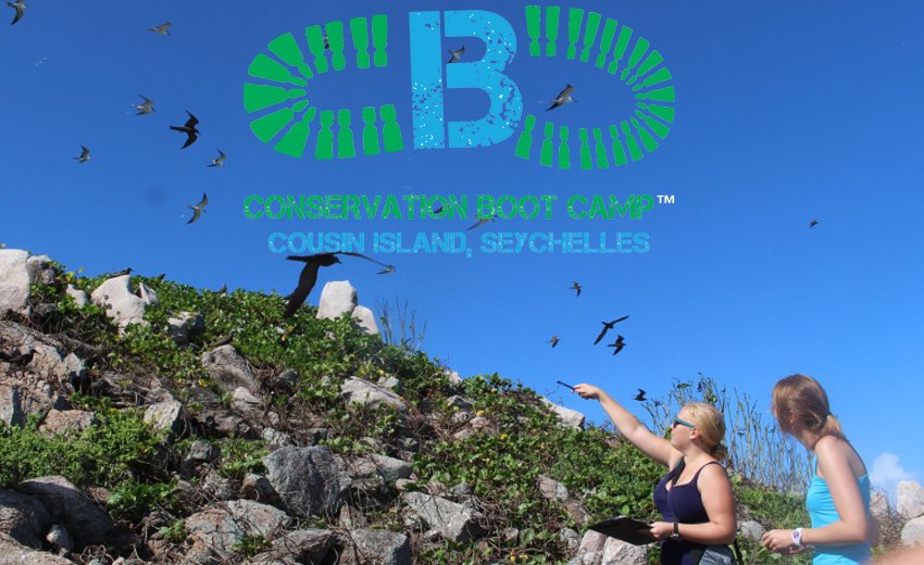 cousinisland's tweet image. New St. Ange Tourism Report promotes #NatureSeychelles #conservationbootcamp program @Seychelles_In @visitseychelles
mailchi.mp/bd63c28fd5e7/s…