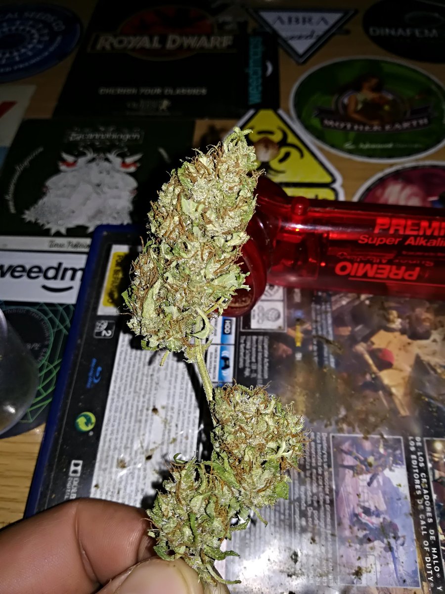 MARIJUANAM4N's tweet photo. Una imagen vale más que mil palabras! #Trocolo #WeedLovers #Porrazo #DeLaPlantaAlPapel #FumetasPower 😅👌💚🍁 https://t.co/CDdfGgkIzZ