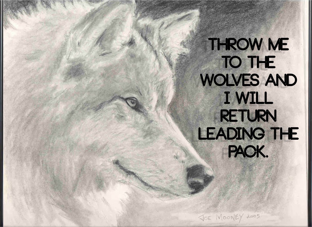 TeriMcGill's tweet photo. 💜🐺💜#NoFear #BeBrave #BelieveInYourself #BeStrong #SpeakUp #LiveBold #Flawsome @BeYourOwnYou @ShareLiveLove @Positivevibe101 @PositiveMinds__ https://t.co/B82cEJBO61