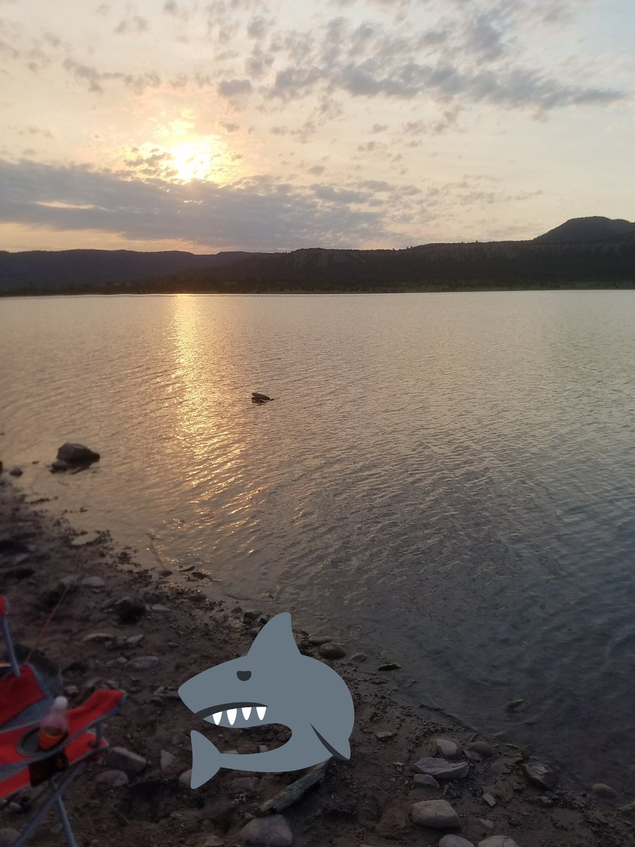 MoshinRay's tweet photo. No luck... fishing was awesome but didn't catch anything... https://t.co/5HrPCktLyH