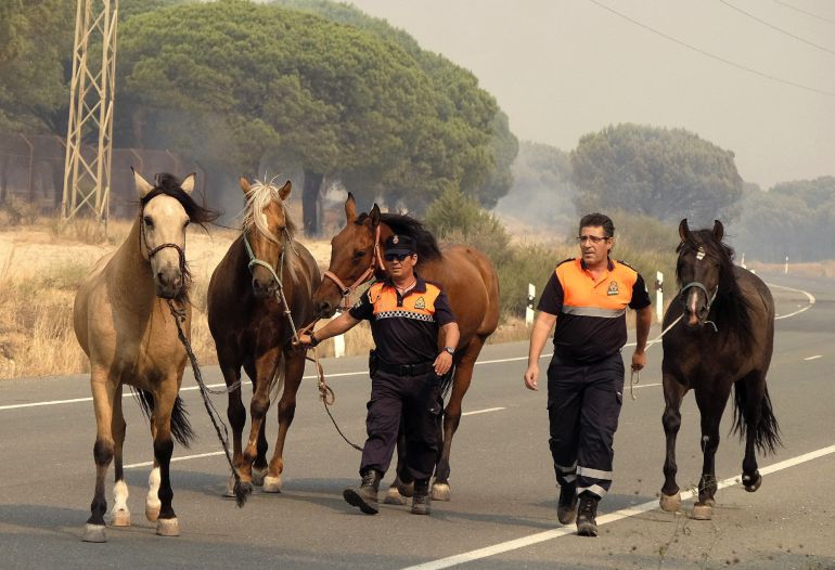 guardiacivil's tweet photo. El último tweet del día es para mandar mucha fuerza 💪💪y mucho agradecimiento🙏🙏 a los que estáis dándolo todo contra el fuego
#IFMoguer https://t.co/KOEi5D9w1v
