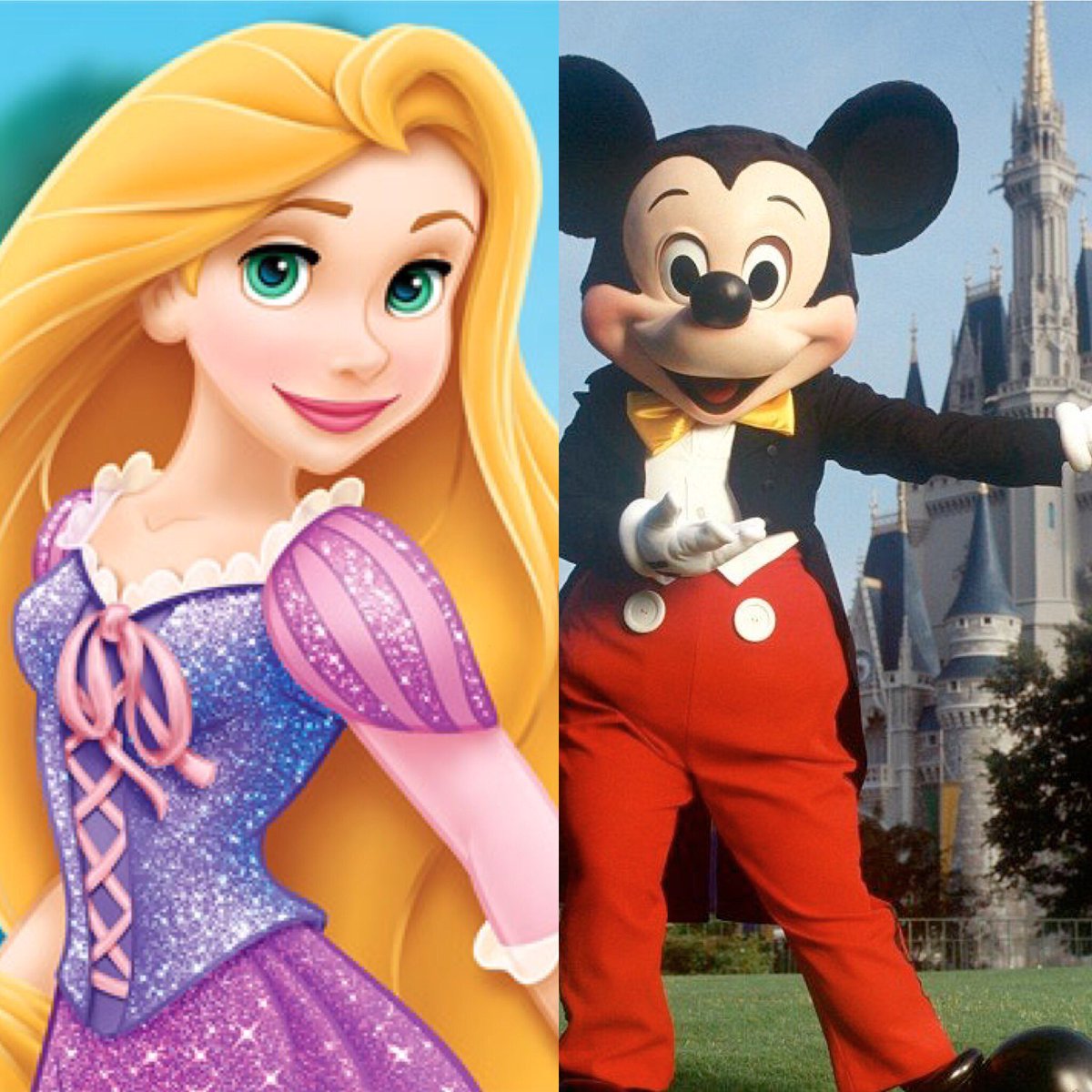 jean_abandjsmom's tweet image. Tomorrow- ALL AOs-Show FiA ❤️️4 @rcflanagan412 (Rapunzel)Post in Disney attire! #GoDisney4Rapunzel #BetterTogether #CheechStrong @FiALexSC