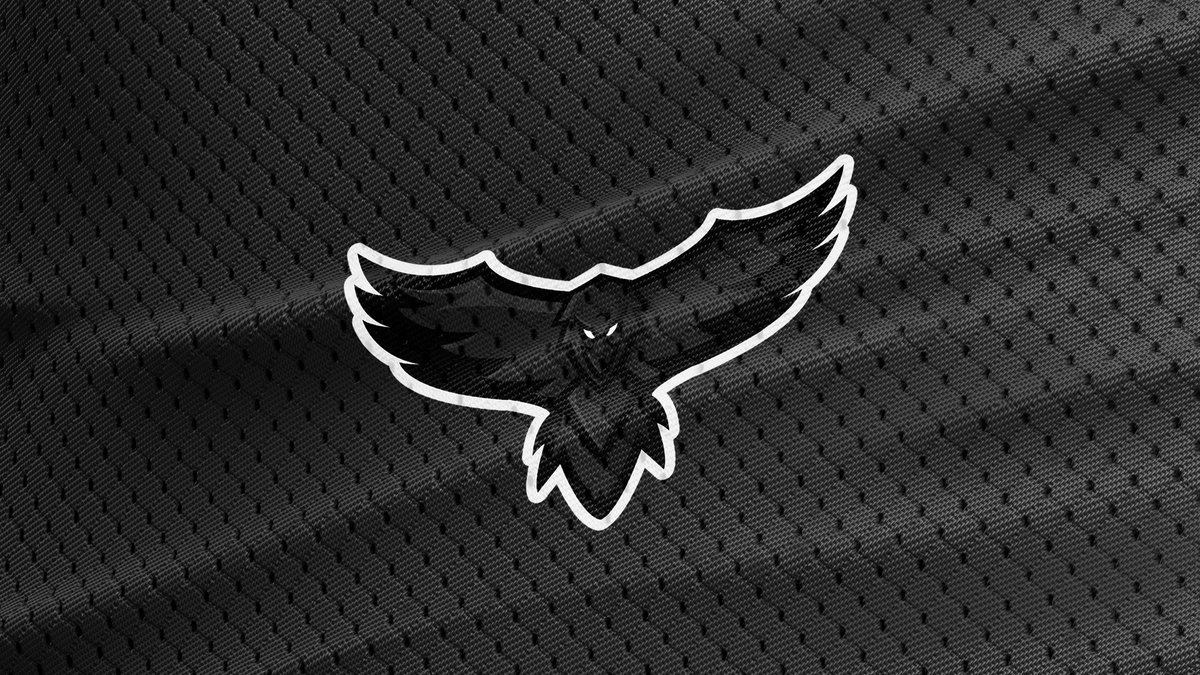 TruwOfficial's tweet photo. This Raven mascot logo is now up for sale! Get this logo today!
If you need a logo DM me :D
#Raven #Mascot #Logo #eSports #2017 #Jersey https://t.co/sULSA9Zp1X