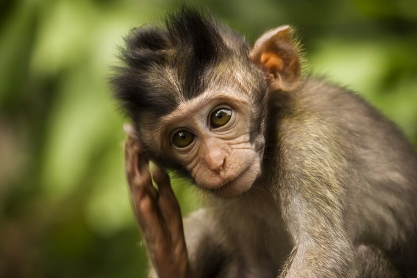 ScouseAnimals's tweet photo. "Why the fuck did I give her me number?" https://t.co/lmwNtRT16A