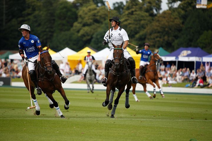 cowdraypolo's tweet photo. Hands up if you're excited for the start of the @jaegerlecoultre Gold Cup on Tuesday! 📸: C.Bennett 
 #JLCGoldCup #EquineHour https://t.co/Cfg1oiVf3e