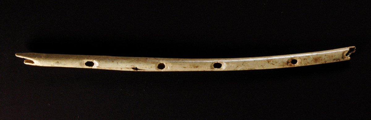 The Ice Age ❄️ on Twitter: "The Hohle Fels flute is the oldest ...