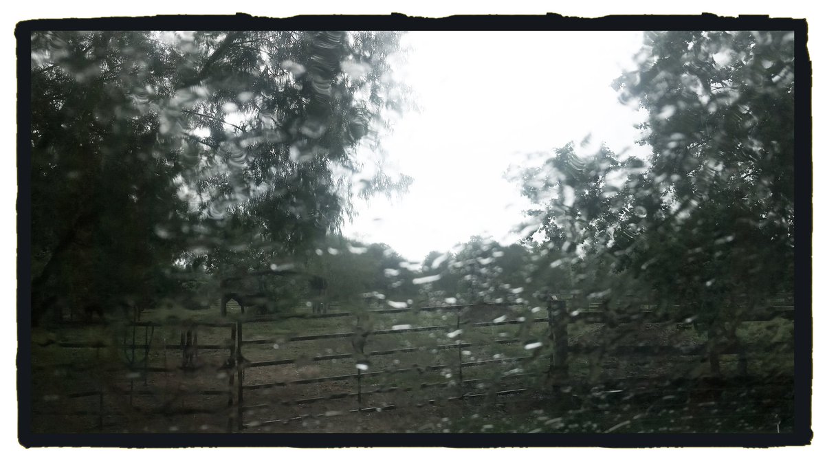 scbowman63's tweet photo. Off &amp; on rain - just enough to make nice mud at the farm. #rainyday #farm #horsefarm #makingmud #rain #raindrops #rurallandscape #texas https://t.co/bdHwW8LlHL