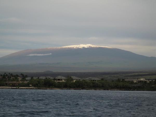 Follow808News's tweet photo. #TweetsofHawaii via @hawaiibobb https://t.co/sMlYlqrfTN
