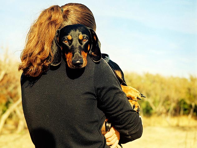 HelloNuzzle's tweet image. What You Need To Know About Brining A #FosterDog Into Your Home bit.ly/2eLWUgq