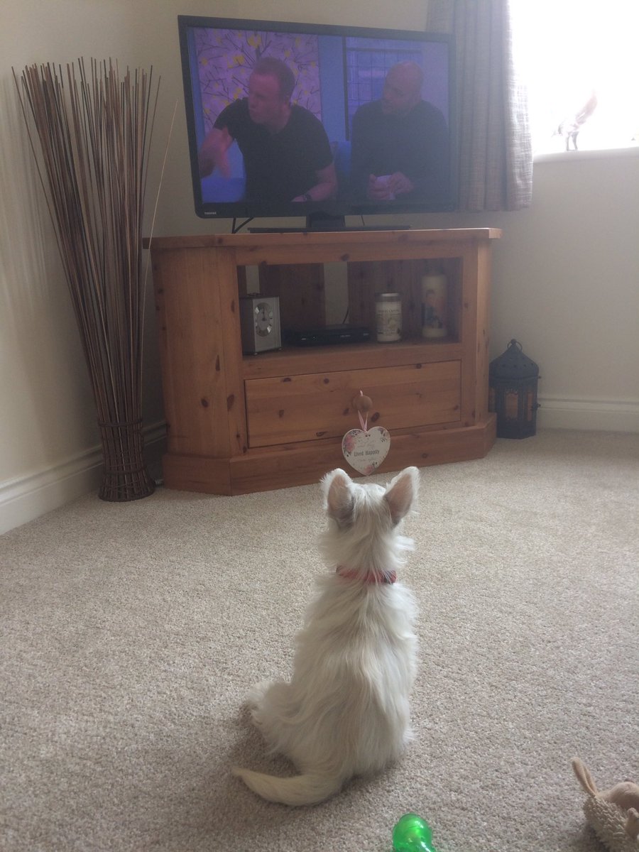 #betty enjoyed today's Sunday brunch <a href="/simonrim/">simonrimmer</a> <a href="/timlovejoy/">Tim Lovejoy</a> #puppytraining
