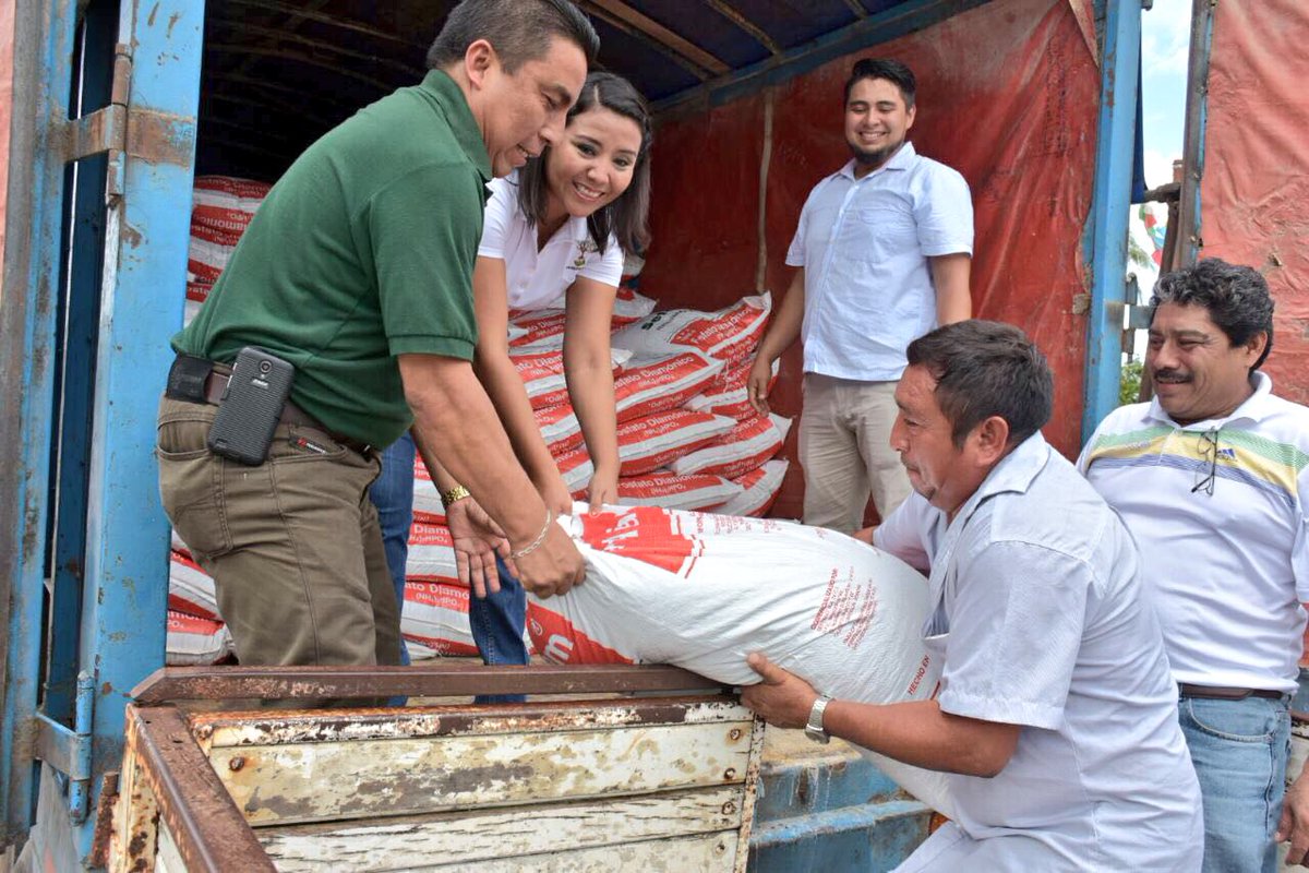 PaolyPerera's tweet photo. Iniciamos con la entrega de fertilizantes para su aplicación en los cultivos de maíz a productores de #FCP. #MéxicoSiembraÉxito #PesoXPeso https://t.co/bIJxHR5hYY