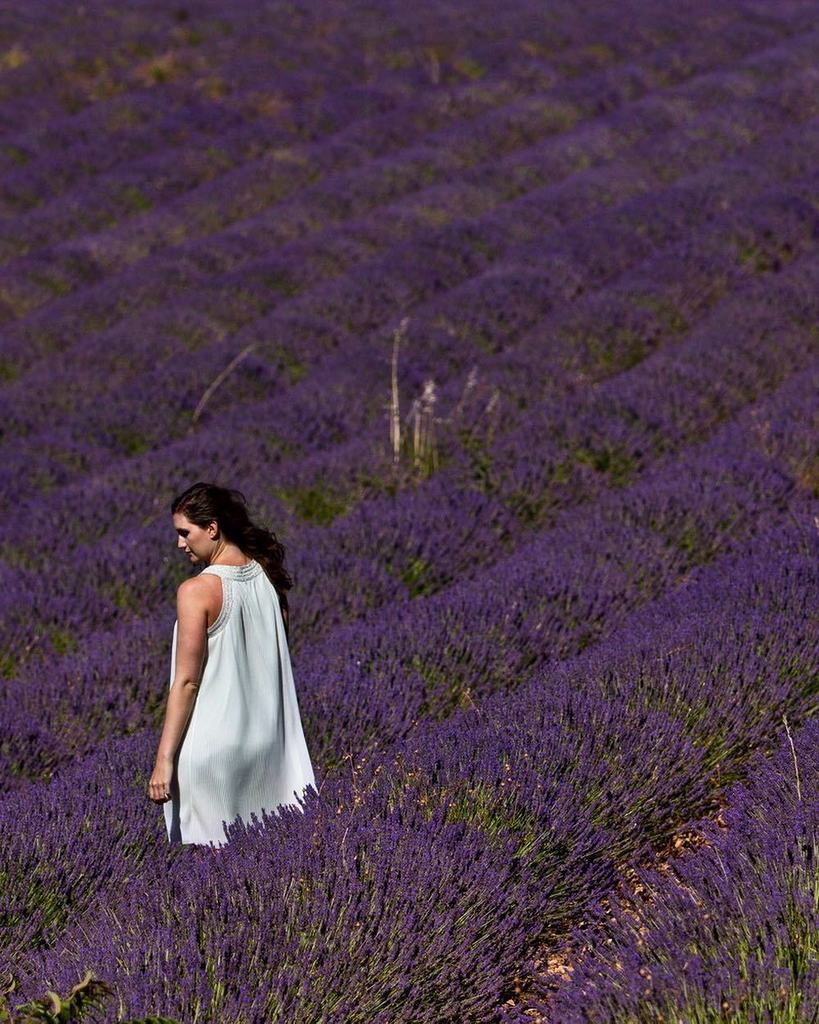 Throwback to this amazing summer trip one year ago. #daydreamallday #throwback #fashionvictresstravels ift.tt/2sFUZlW