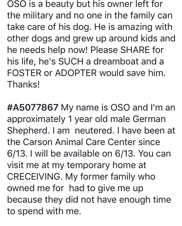reddogsusie's tweet photo. #CA #CARSON #Gardena
🆘🆘OSO IS STILL THERE!! 1yo gorgeous boy, owner left 4 the military! Pls #adopt #rescue #foster
https://t.co/92fdGHdwnb https://t.co/jZchS7sPjq