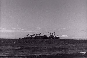 Announcement coming soon for this summer's free outdoor film series starting July 7th. #bewarethe crabmonsters