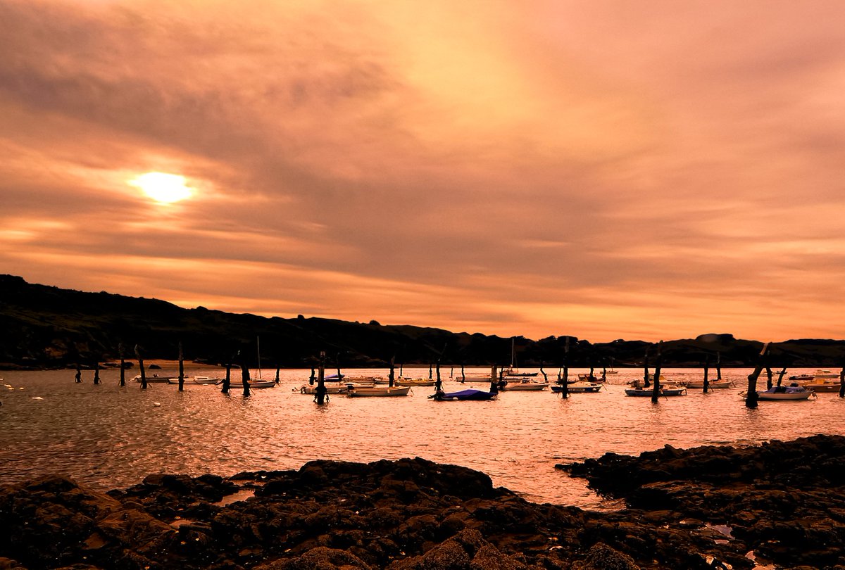 Le port de Gwin zegal à Plouha.#cotesdarmor #Bretagne