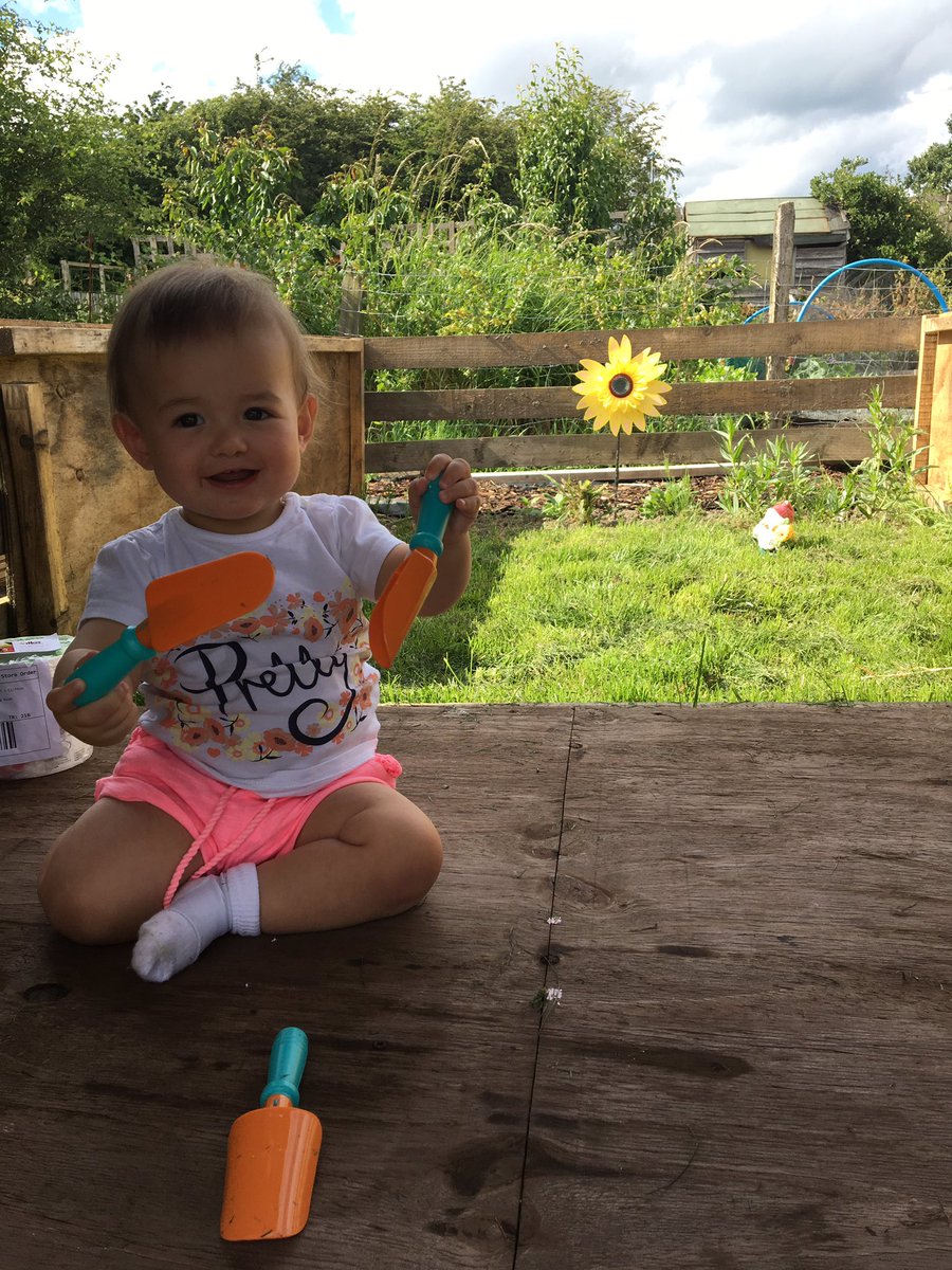 allotment85a's tweet photo. Nice bit of weeding and watering done this weekend whilst Emma played safely in her mini garden 😀 https://t.co/22AHumYPcQ