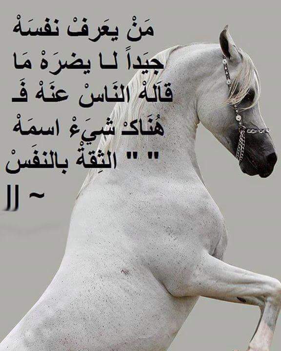 Ghada08963915's tweet photo. https://t.co/0QqYzQ5tgD