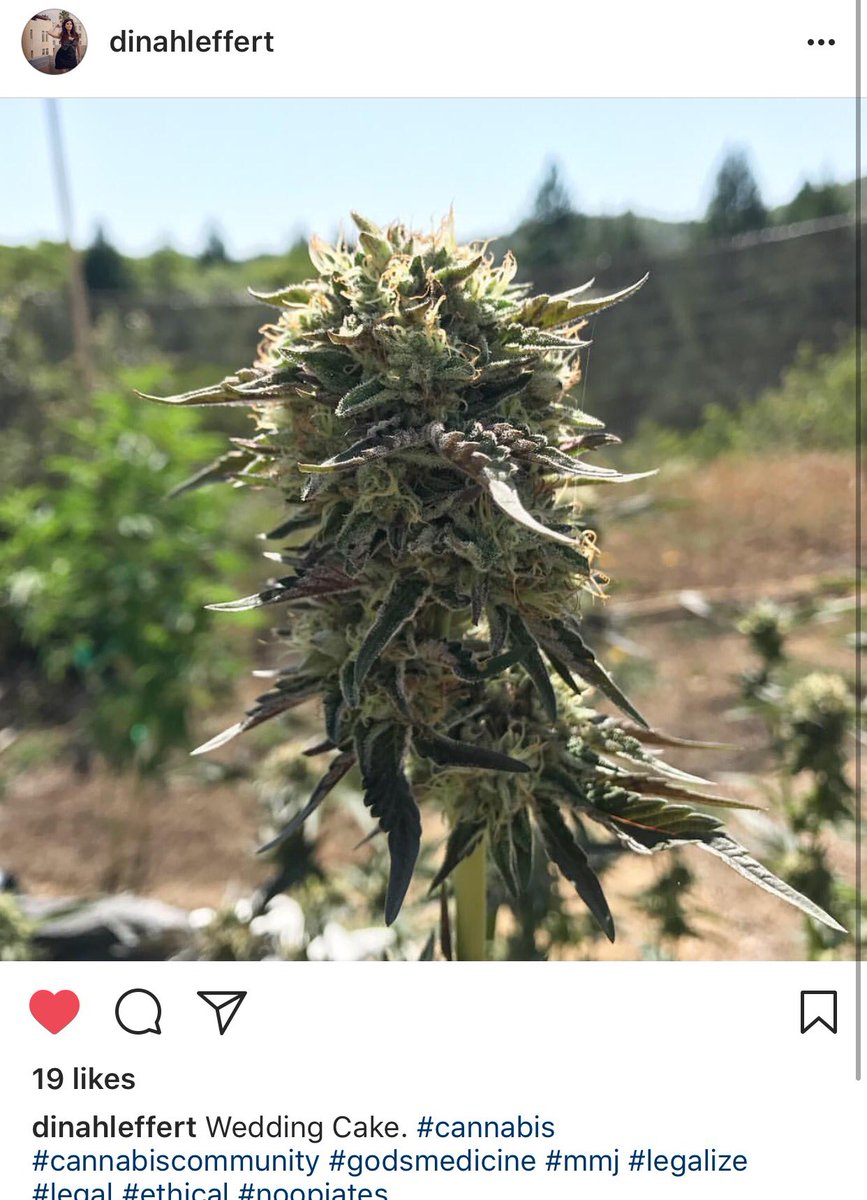 Thanks to <a href="/DinahLeffert/">Dinah Leffert</a>  Instagram.com/Dinaleffert give her some follows she deserves it and she's a very #funny #comedian