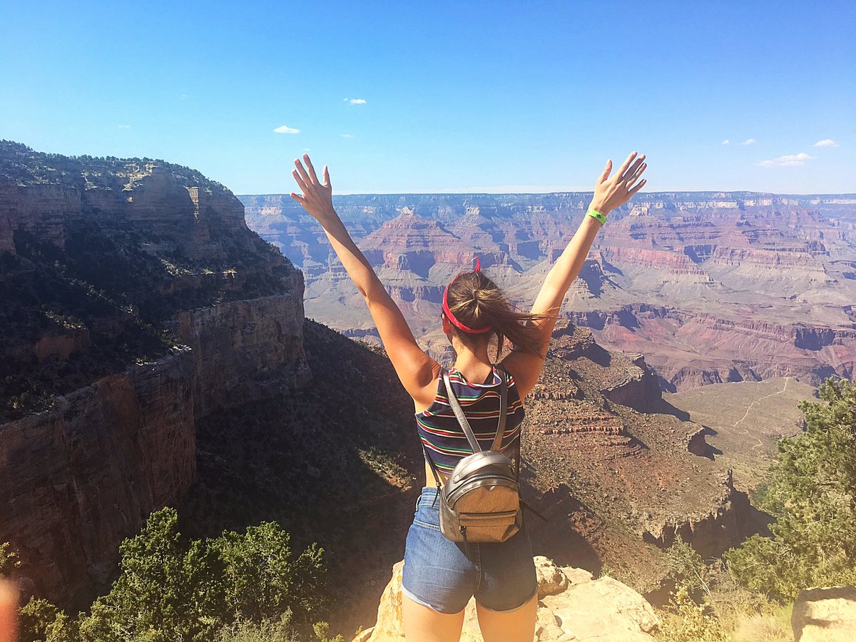 Louise Danson tweet media